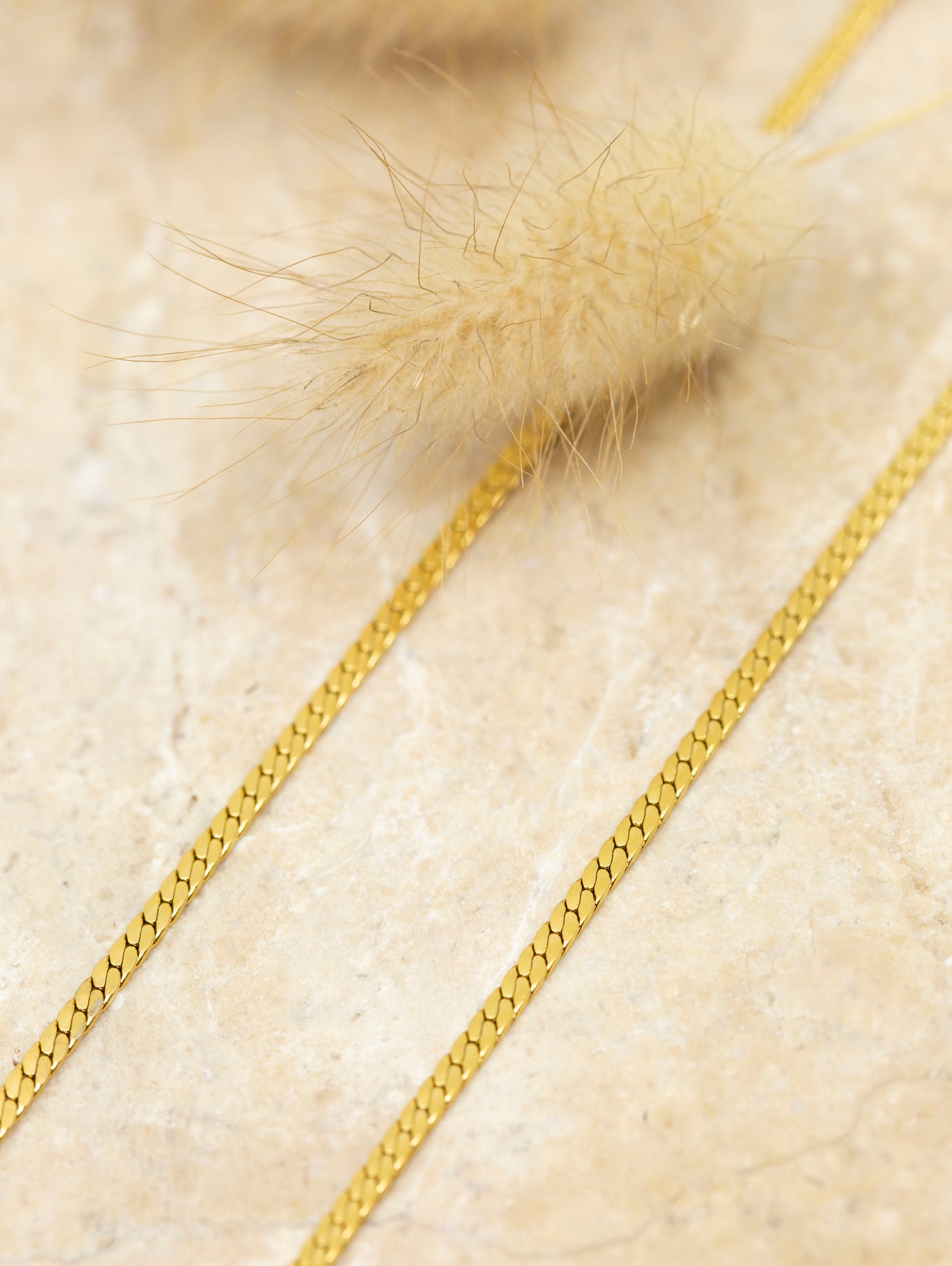 LePetite - Gold | Eye glasses chain